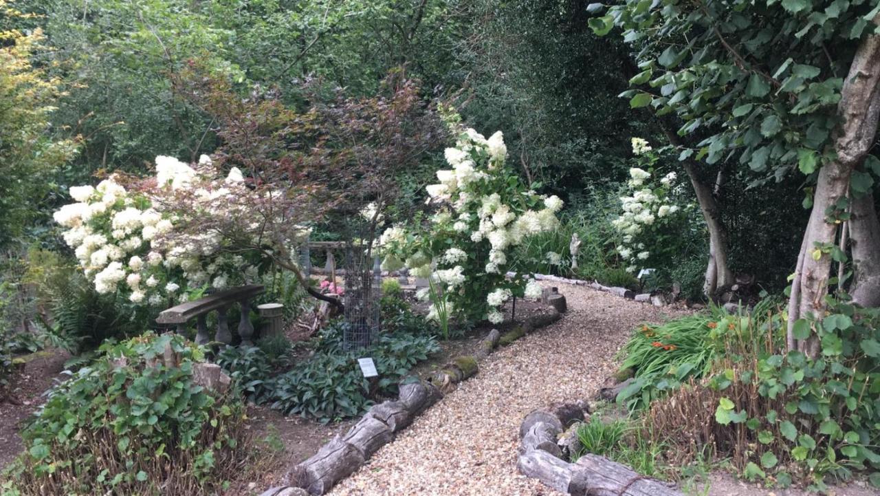 The Garth Guest Suite Studio Cottage Lingfield Luaran gambar