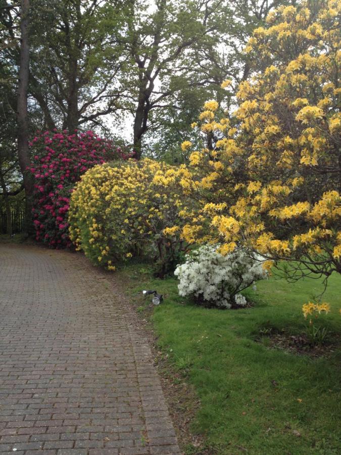 The Garth Guest Suite Studio Cottage Lingfield Luaran gambar